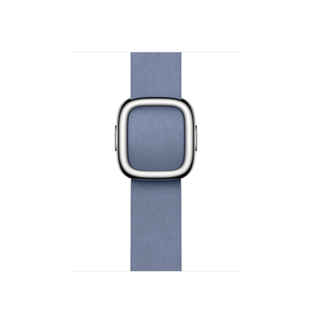 Apple 41mm Modern Buckle